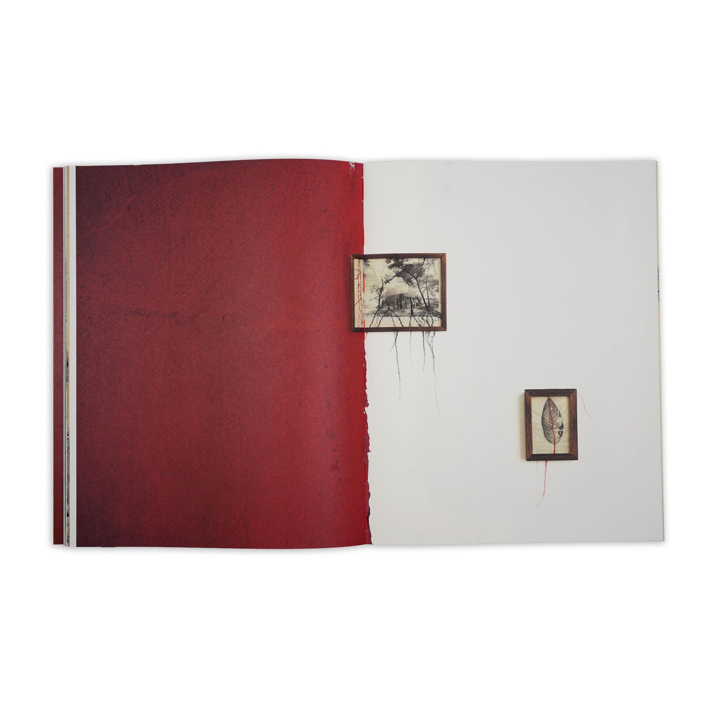 Thought Trails Artist Book